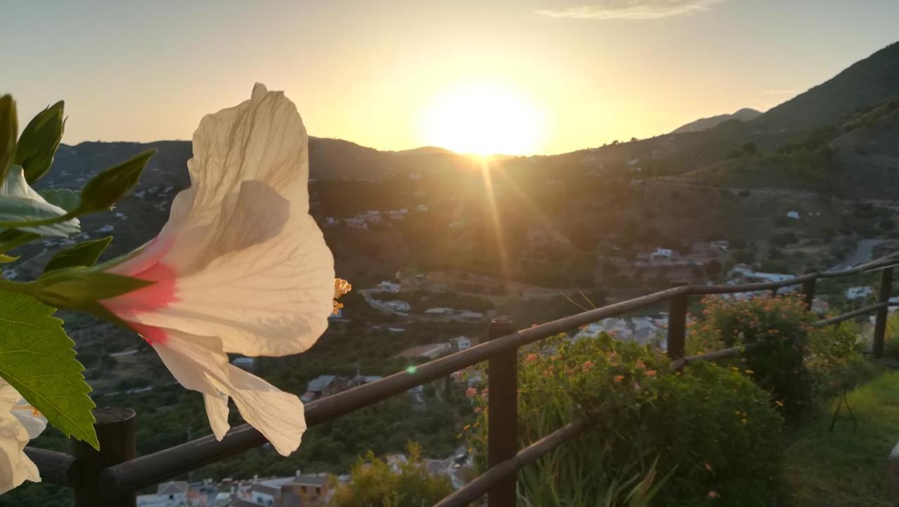 Villa Casa Ana, Fantasticas Vistas A Frigiliana, El Mar Y La Montana Extérieur photo