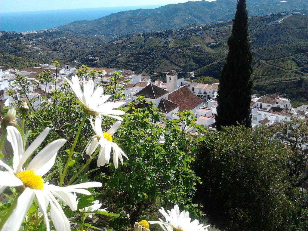 Villa Casa Ana, Fantasticas Vistas A Frigiliana, El Mar Y La Montana Chambre photo