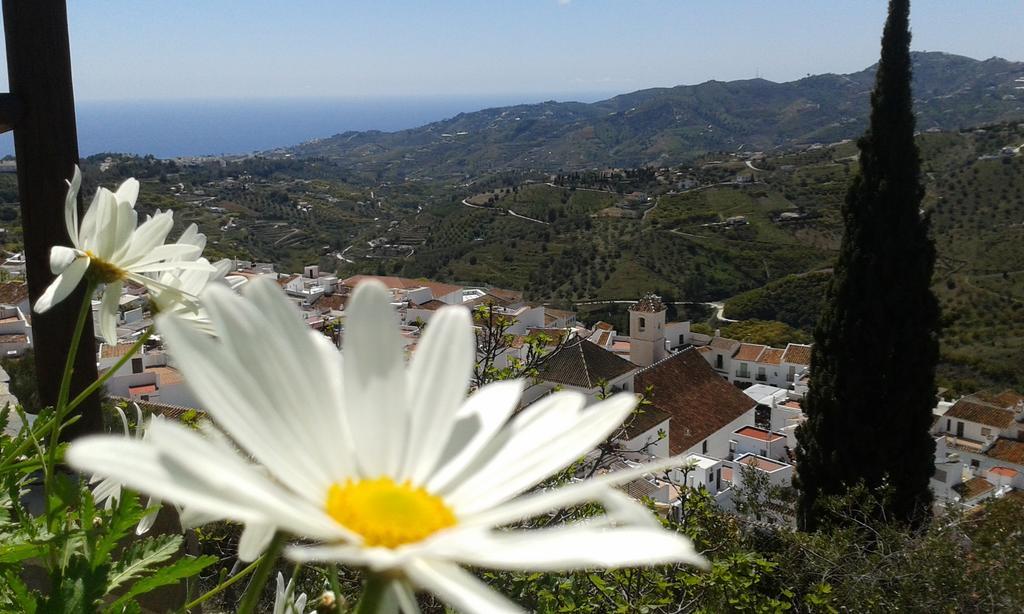 Villa Casa Ana, Fantasticas Vistas A Frigiliana, El Mar Y La Montana Extérieur photo